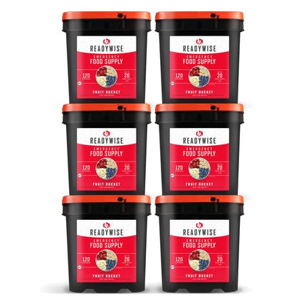 ReadyWise 720 Serving Freeze Dried Fruit Bundle